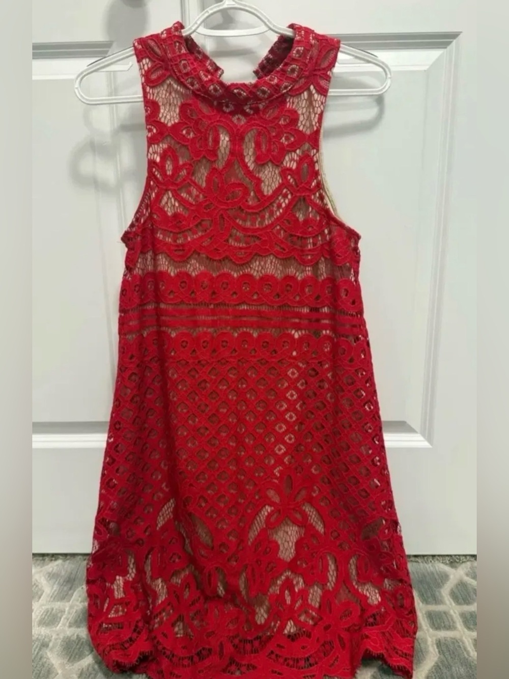 Francesca's Collections Red Lace Mini Dress